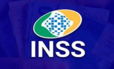 inss2